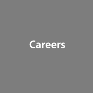 NetScore Careers