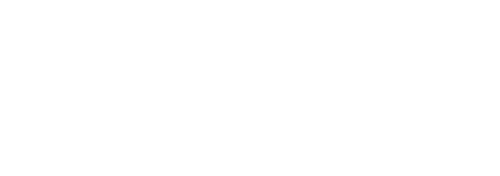 Oracle NetSuite Alliance Partner